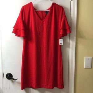 Jessica Howard bell sleeve shift dress